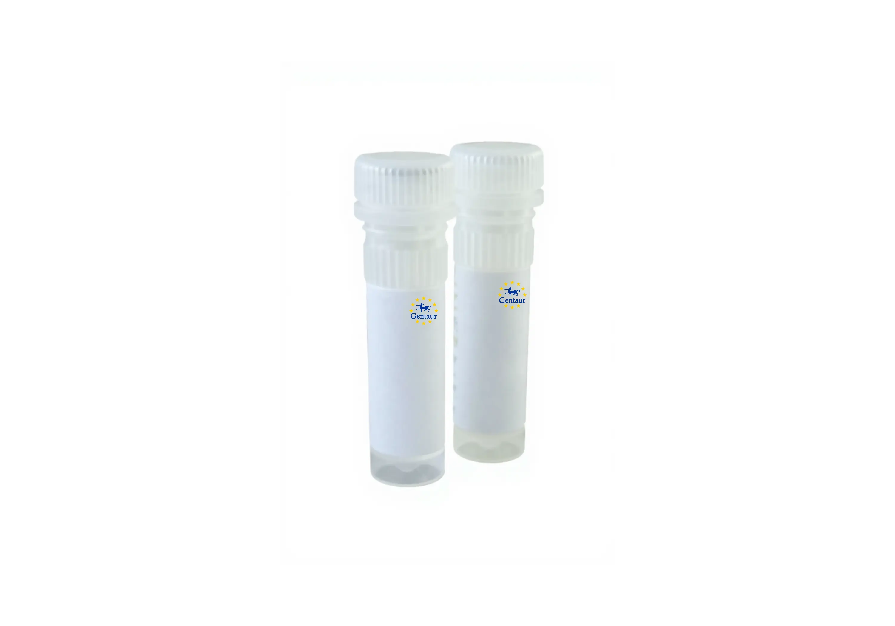  qmax cdna synthesis kit 25 reactions