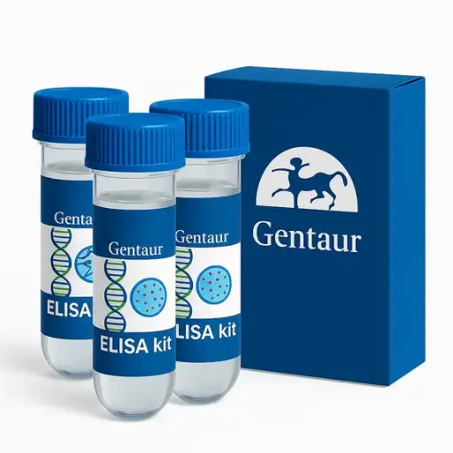 [K-XYLS] Xylanase Assay Kit (Xylazyme AX) - 200