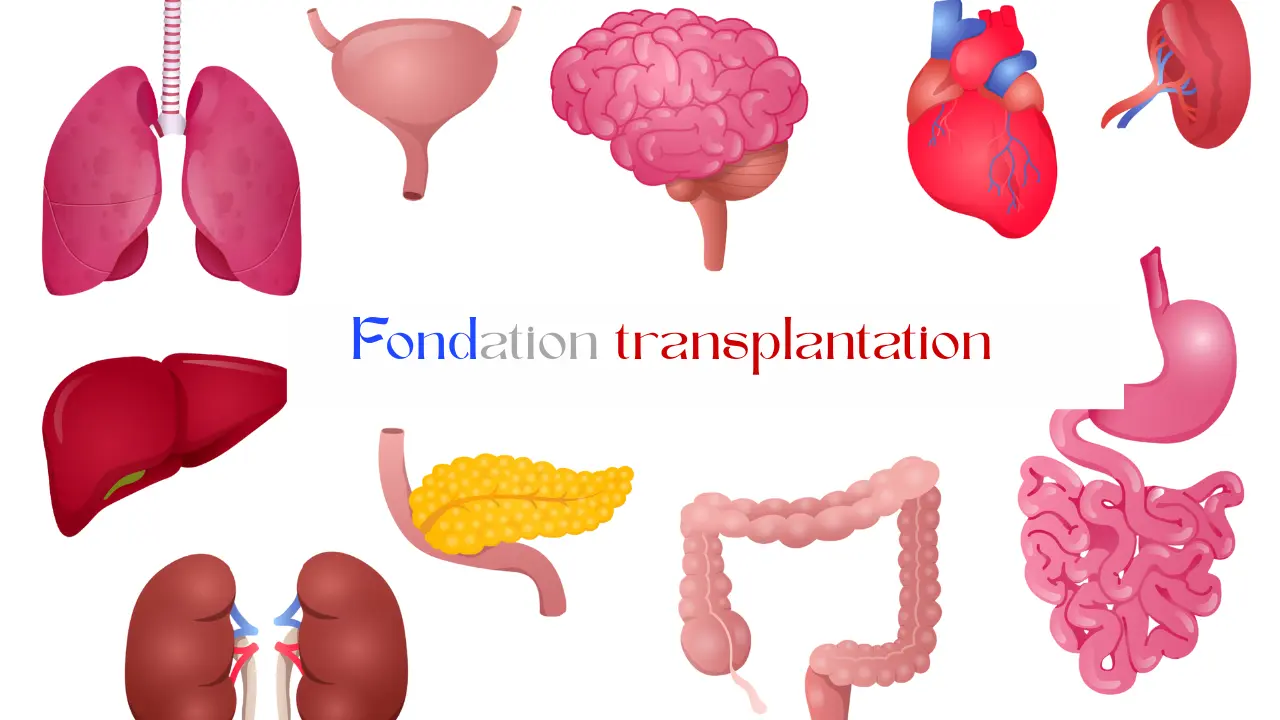Fondation Transplantation